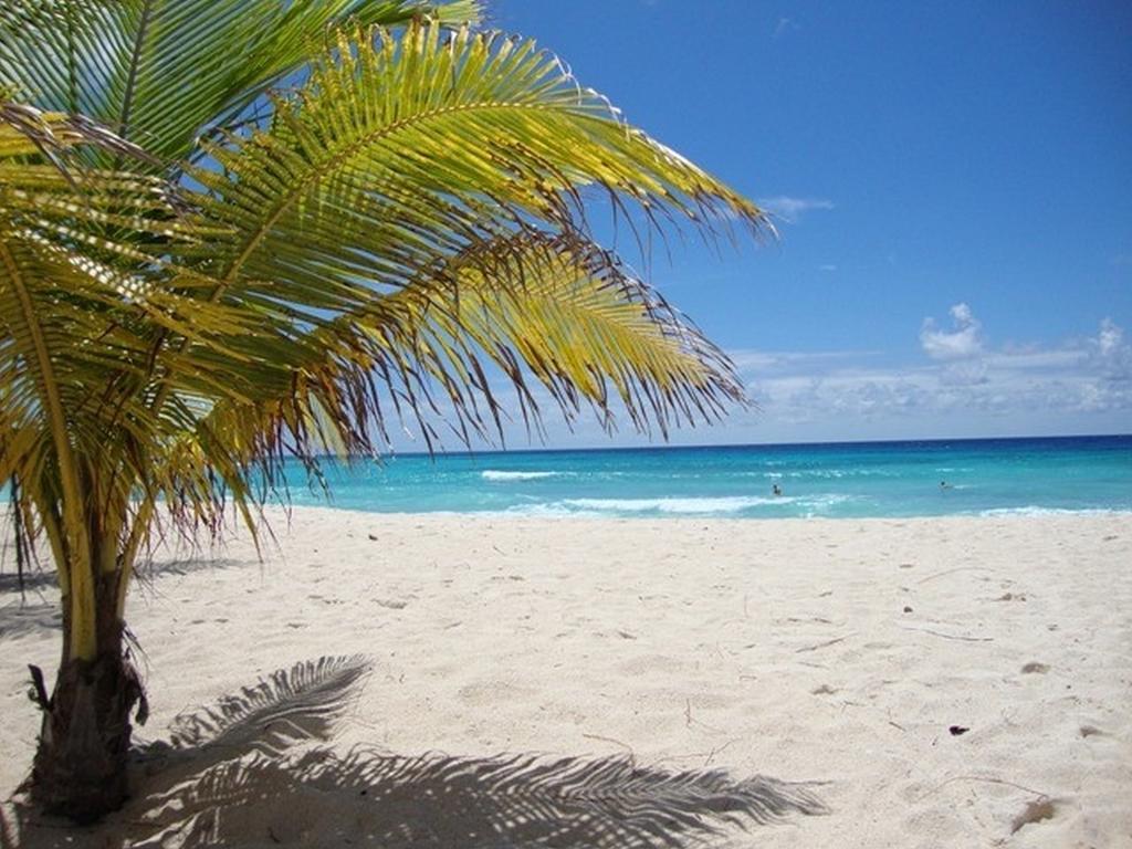 Beach Guest House Cleverdale บริดจ์ทาวน์ ห้อง รูปภาพ
